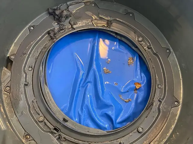 ★カビをごっそり取ってピカピカに！糸くずで詰まった乾燥ダクト清掃で乾燥機能復活★サービスの画像