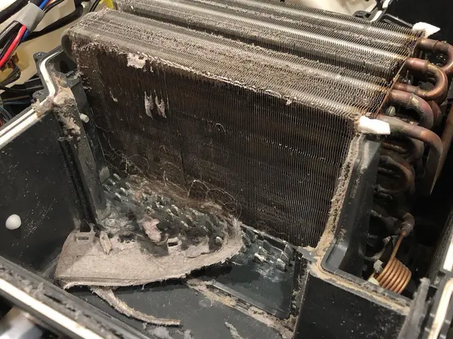 ★カビをごっそり取ってピカピカに！糸くずで詰まった乾燥ダクト清掃で乾燥機能復活★サービスの画像