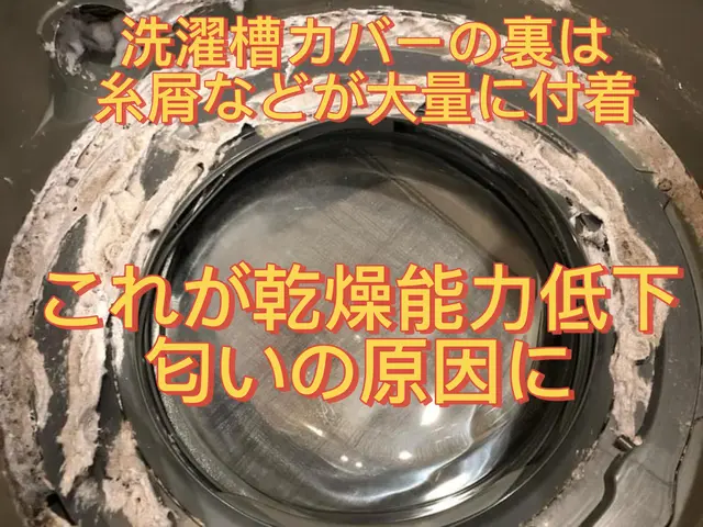 ★カビをごっそり取ってピカピカに！糸くずで詰まった乾燥ダクト清掃で乾燥機能復活★サービスの画像