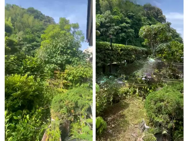 お庭の草引きお任せください！雑草スッキリで景観長持ち、しつこい根まで対応！サービスの画像