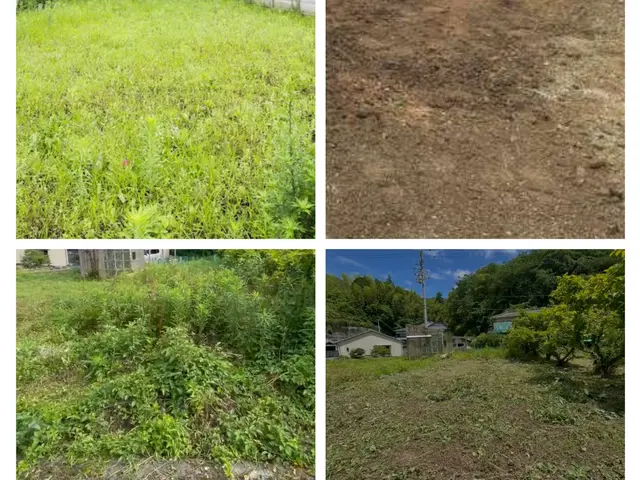 お庭の草引きお任せください！雑草スッキリで景観長持ち、しつこい根まで対応！サービスの画像