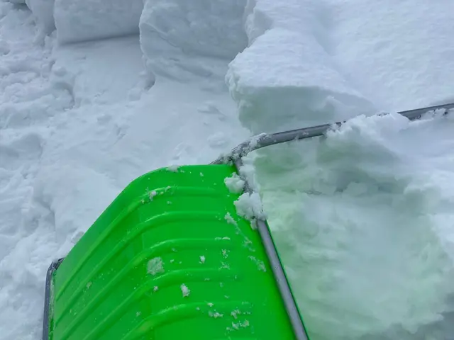 ちょっとした除雪から屋根の雪降ろし、排雪まで当社におまかせください！サービスの画像