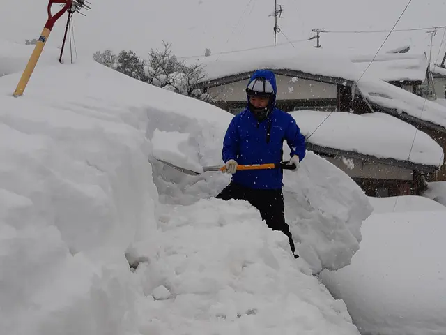 ちょっとした除雪から屋根の雪降ろし、排雪まで当社におまかせください！サービスの画像