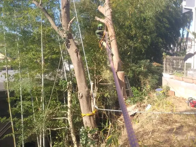 【年中無休！】土日祝もご予約大歓迎★業歴13年！実績あり★損害保険加入★サービスの画像