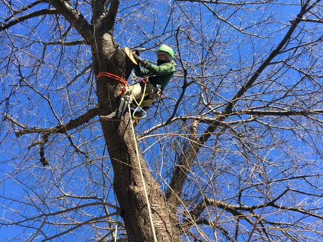 【年中無休！】土日祝もご予約大歓迎★業歴13年！実績あり★損害保険加入★サービスの画像