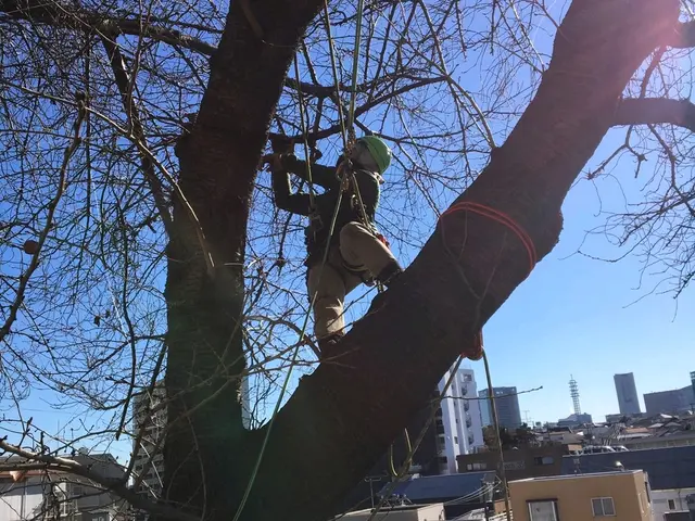 【年中無休！】土日祝もご予約大歓迎★業歴13年！実績あり★損害保険加入★サービスの画像