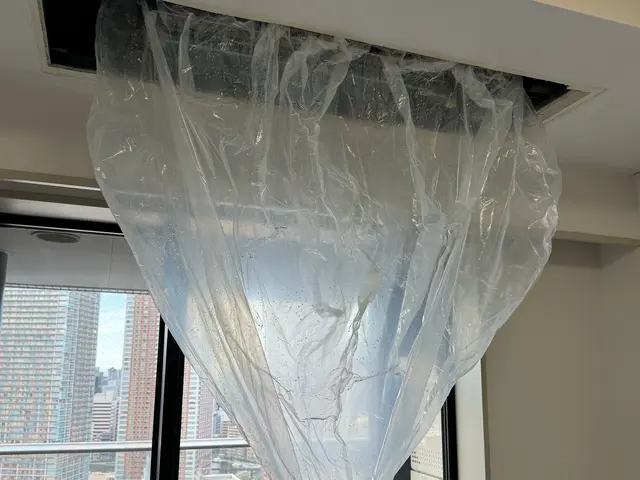 豊富な経験と知識で安心！仕上がり重視で丁寧に作業いたします！サービスの画像