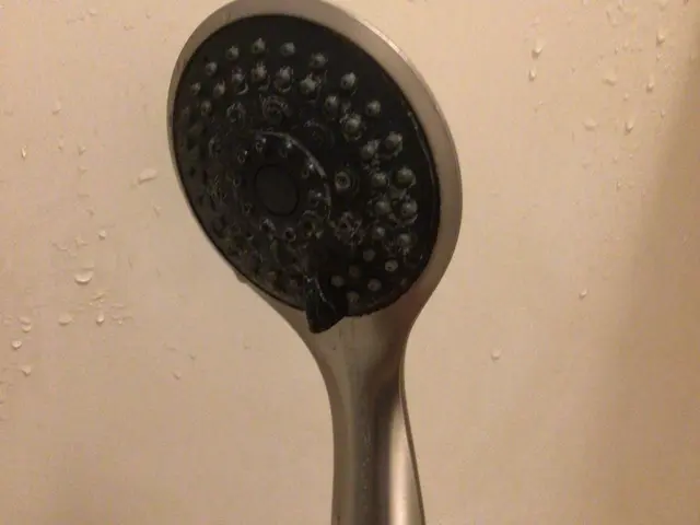 シャワーヘッド交換承ります！ご相談下さい！サービスの画像