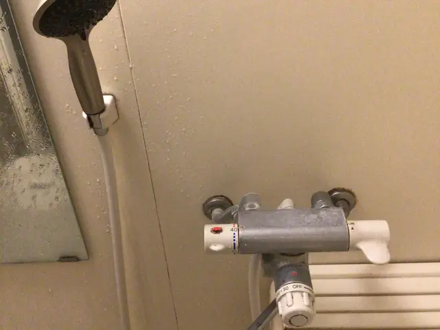 シャワーヘッド交換承ります！ご相談下さい！サービスの画像