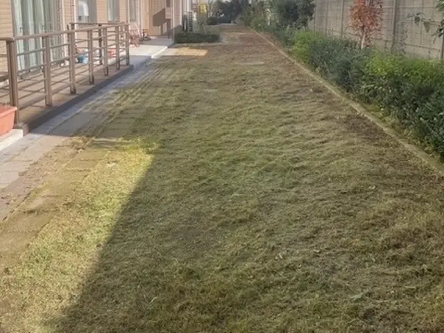 雑草に悩む前にお任せください。経験豊富なスタッフが庭や空き地を安全・快適に整備サービスの画像