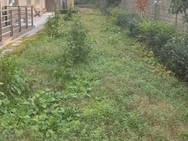 雑草に悩む前にお任せください。経験豊富なスタッフが庭や空き地を安全・快適に整備サービスの画像