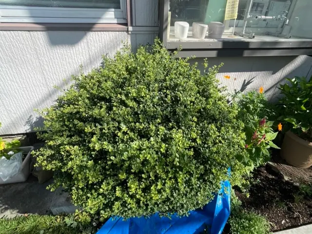 【完全自社対応】一生懸命丁寧に作業致します！サービスの画像