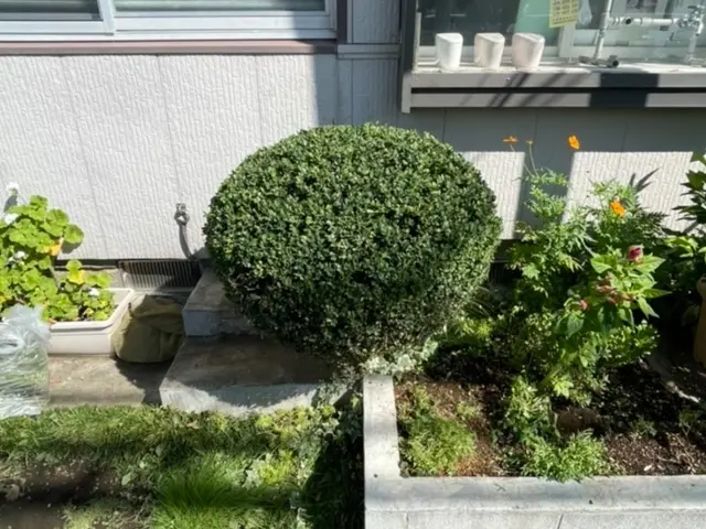 【完全自社対応】一生懸命丁寧に作業致します！サービスの画像