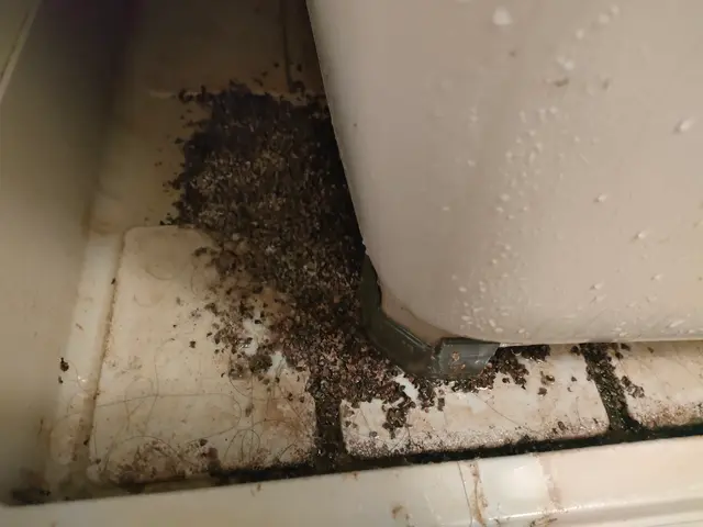 浴室クリーニングサービスの画像