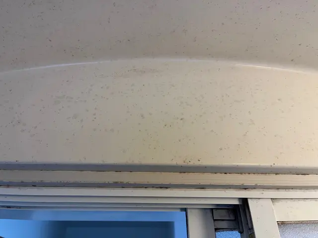 【年中無休で対応◎】プロの技術で納得の仕上がりに！ご要望にお応えします！サービスの画像