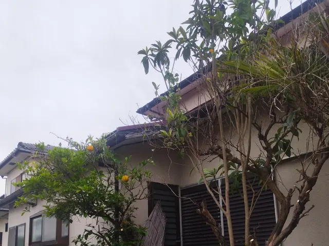 下関、岩国も対応致します！　手間いらず　安心価格で快適空間　斜面もお任せ！サービスの画像