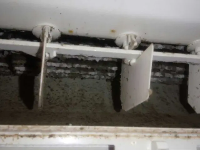 即応◎専門国家資格者による本物クリーニングはembellirへ☻１７年目リピ多数サービスの画像