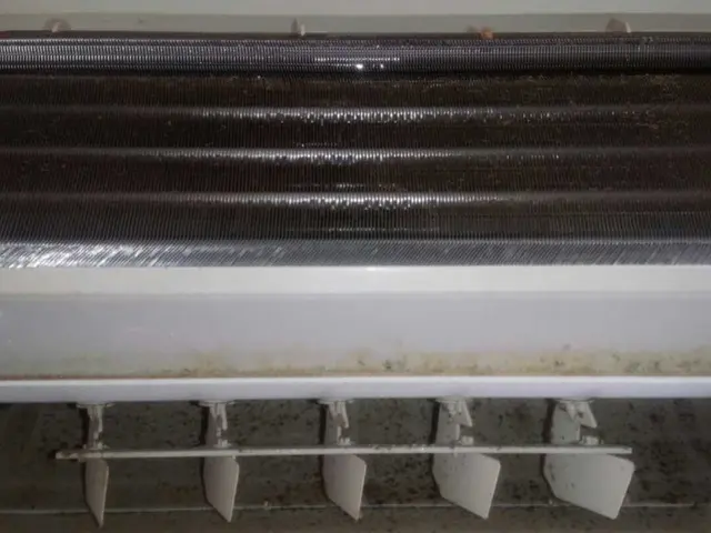 即応◎専門国家資格者による本物クリーニングはembellirへ☻１７年目リピ多数サービスの画像