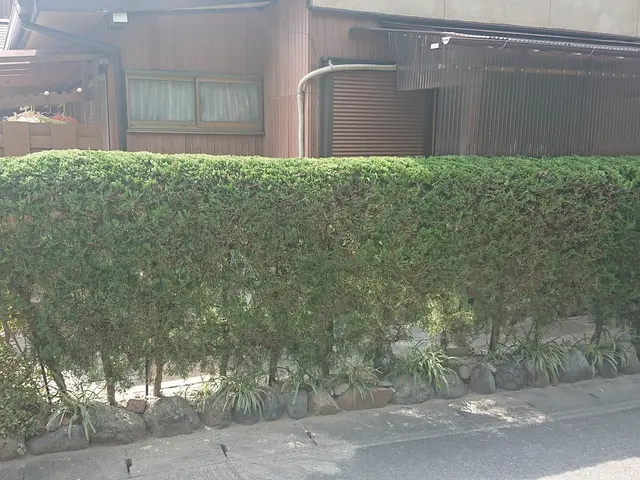 ＜年中無休＞お庭のことならなんでもご相談ください！気さくな若手庭師がお伺いしますサービスの画像