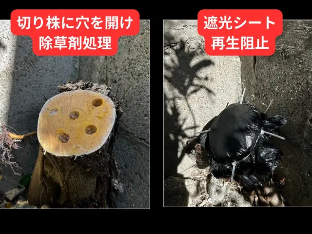 お客様のお力になります！経験と知識を活かして迅速丁寧に作業いたしますサービスの画像