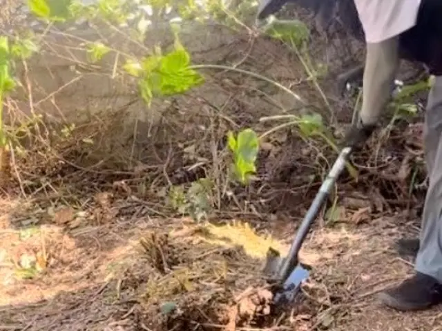 お客様のお力になります！経験と知識を活かして迅速丁寧に作業いたしますサービスの画像