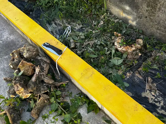 お客様のお力になります！経験と知識を活かして迅速丁寧に作業いたしますサービスの画像