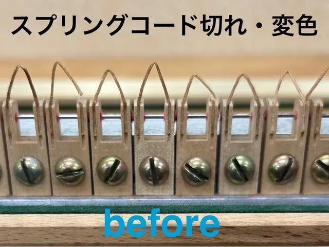 経験10年以上の女性調律師が担当いたします。丁寧なサービスをご提供いたします！サービスの画像