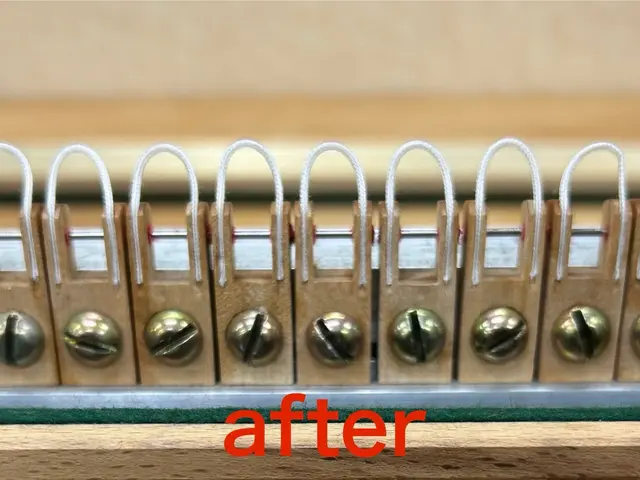 経験10年以上の女性調律師が担当いたします。丁寧なサービスをご提供いたします！サービスの画像