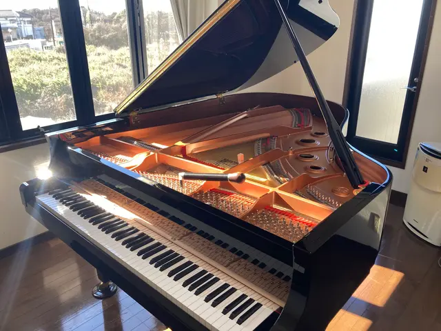 経験10年以上の女性調律師が担当いたします。丁寧なサービスをご提供いたします！サービスの画像