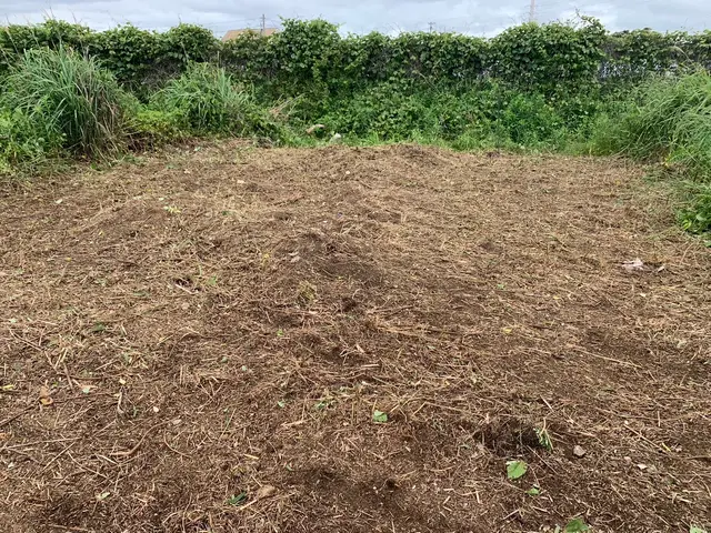 広大な雑草にお困りの方必見！若い力でお庭をきれいに！丁寧な作業がモットー！サービスの画像