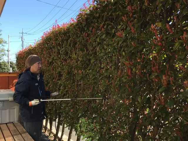 【15年の実績】病気や害虫から守ります。近隣環境も考慮して安全に散布します。サービスの画像