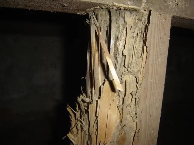 ★2006年からしろあり防除施工士有資格者★作業実績300件以上★認定薬剤使用★サービスの画像