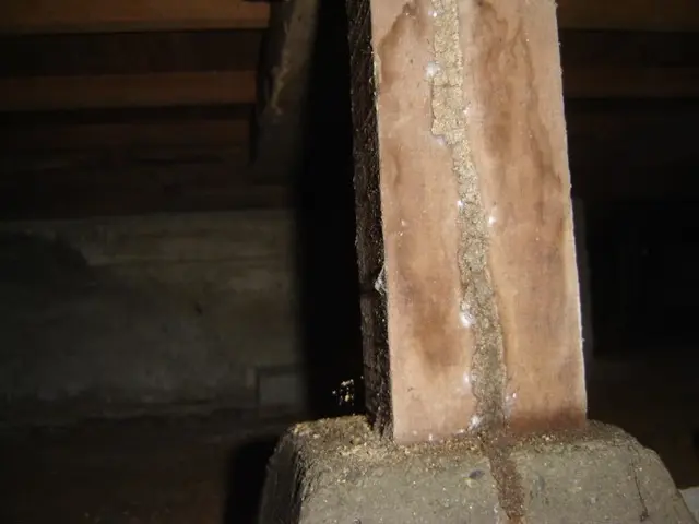 ★2006年からしろあり防除施工士有資格者★作業実績300件以上★認定薬剤使用★サービスの画像