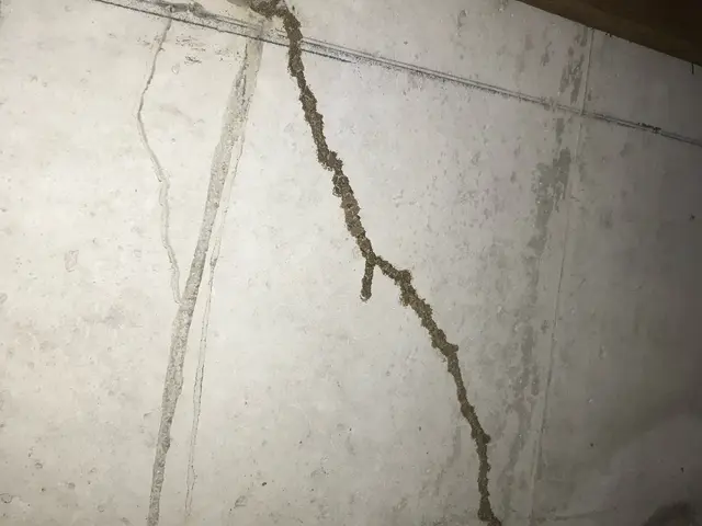 ★2006年からしろあり防除施工士有資格者★作業実績300件以上★認定薬剤使用★サービスの画像