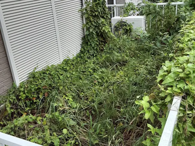 【創業35年】防草シート施工、おまかせください！腕にはかなり自信があります！サービスの画像