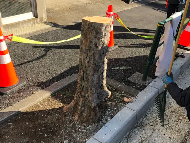 ☆業界歴23年☆外注作業一切なし！大手での経験も豊富です！サービスの画像