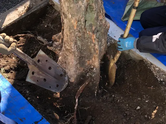 ☆業界歴23年☆外注作業一切なし！大手での経験も豊富です！サービスの画像