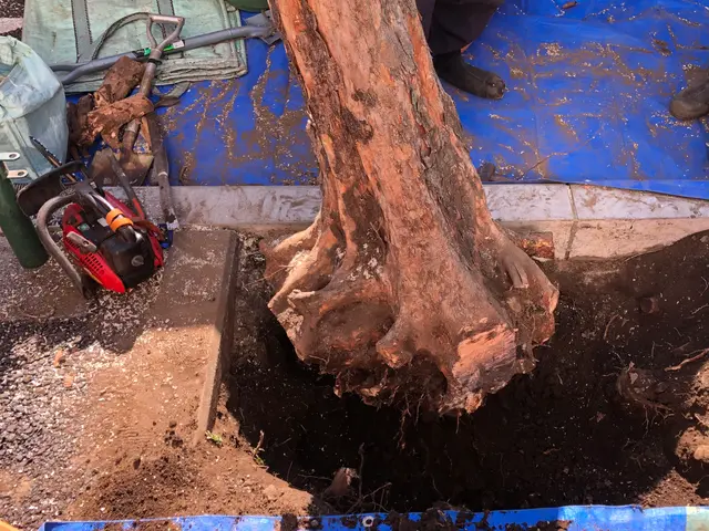 ☆業界歴23年☆外注作業一切なし！大手での経験も豊富です！サービスの画像