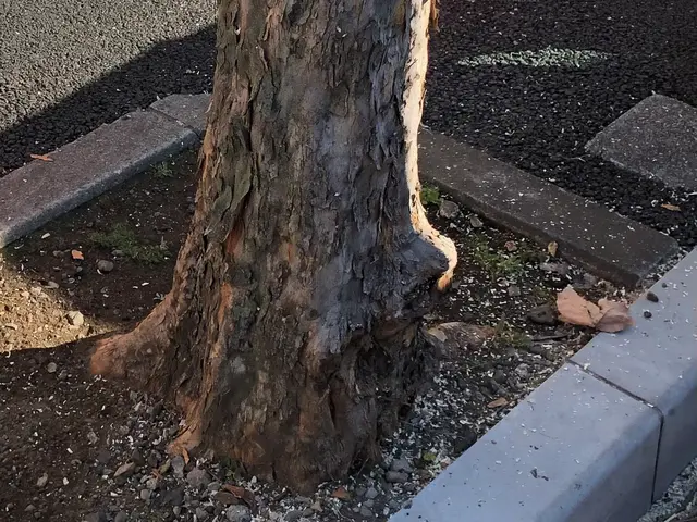 ☆業界歴23年☆外注作業一切なし！大手での経験も豊富です！サービスの画像