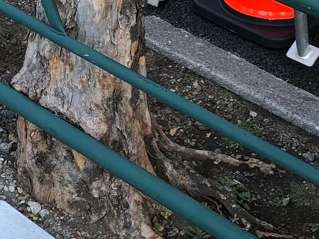 ☆業界歴23年☆外注作業一切なし！大手での経験も豊富です！サービスの画像