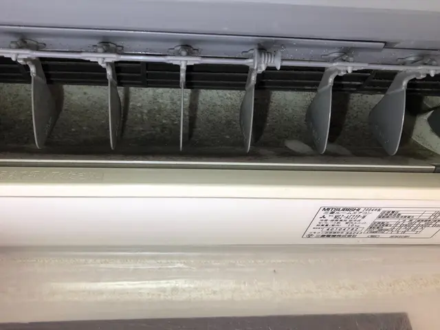 【東京・千葉・埼玉】複数台割引◎《損害保険◎》お掃除付きは不可！サービスの画像