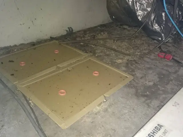 ネズミ駆除・防除サービスの画像