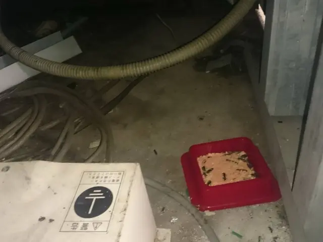 ネズミ駆除・防除サービスの画像