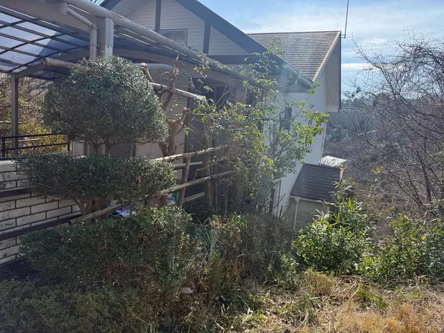 植え込み、生垣の剪定サービスの画像