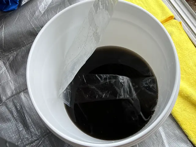 今だけ【消臭抗菌コート】無料キャンペーン実施中！◎お掃除機能付対応可能！◎サービスの画像