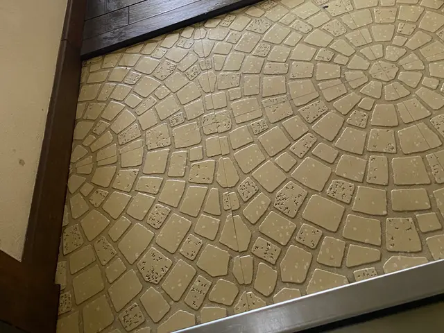 玄関廻り洗浄サービスの画像