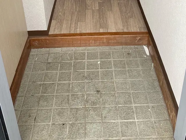 玄関廻り洗浄サービスの画像