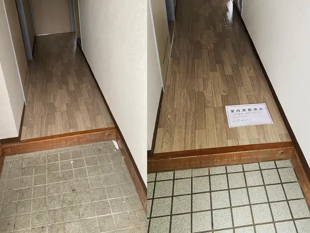 玄関廻り洗浄サービスの画像