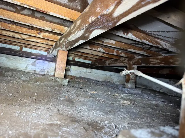 どんな現場でもシロアリを必ず完全駆除！作業説明で安心！5年保証いたします！防カビサービスの画像