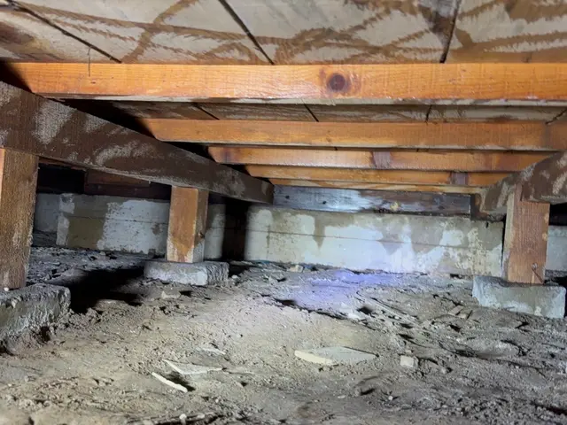 どんな現場でもシロアリを必ず完全駆除！作業説明で安心！5年保証いたします！防カビサービスの画像